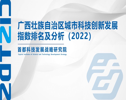 小骚逼被操的好舒服视频【成果发布】广西壮族自治区城市科技创新发展指数排名及分析（2022）